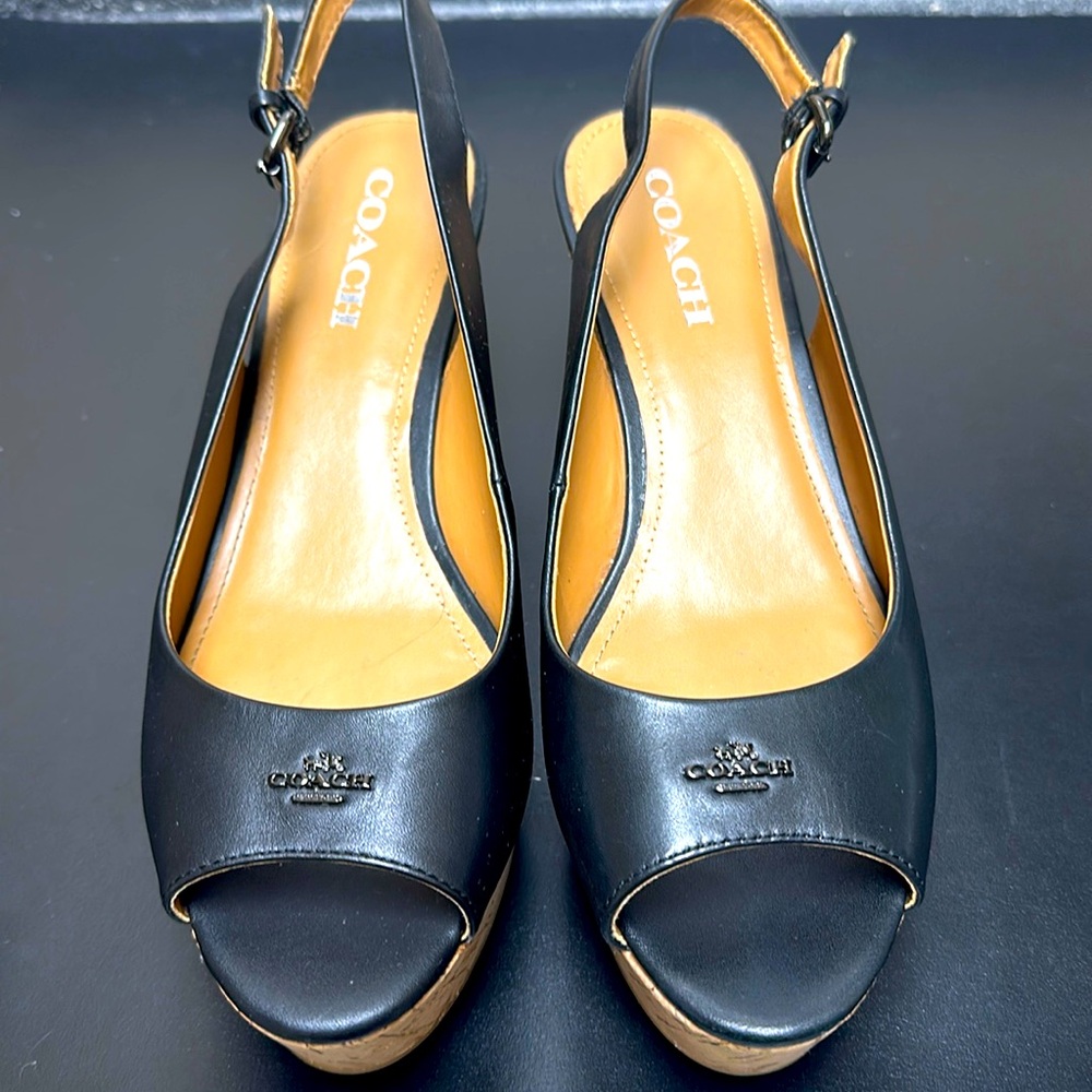 Coach platform slides